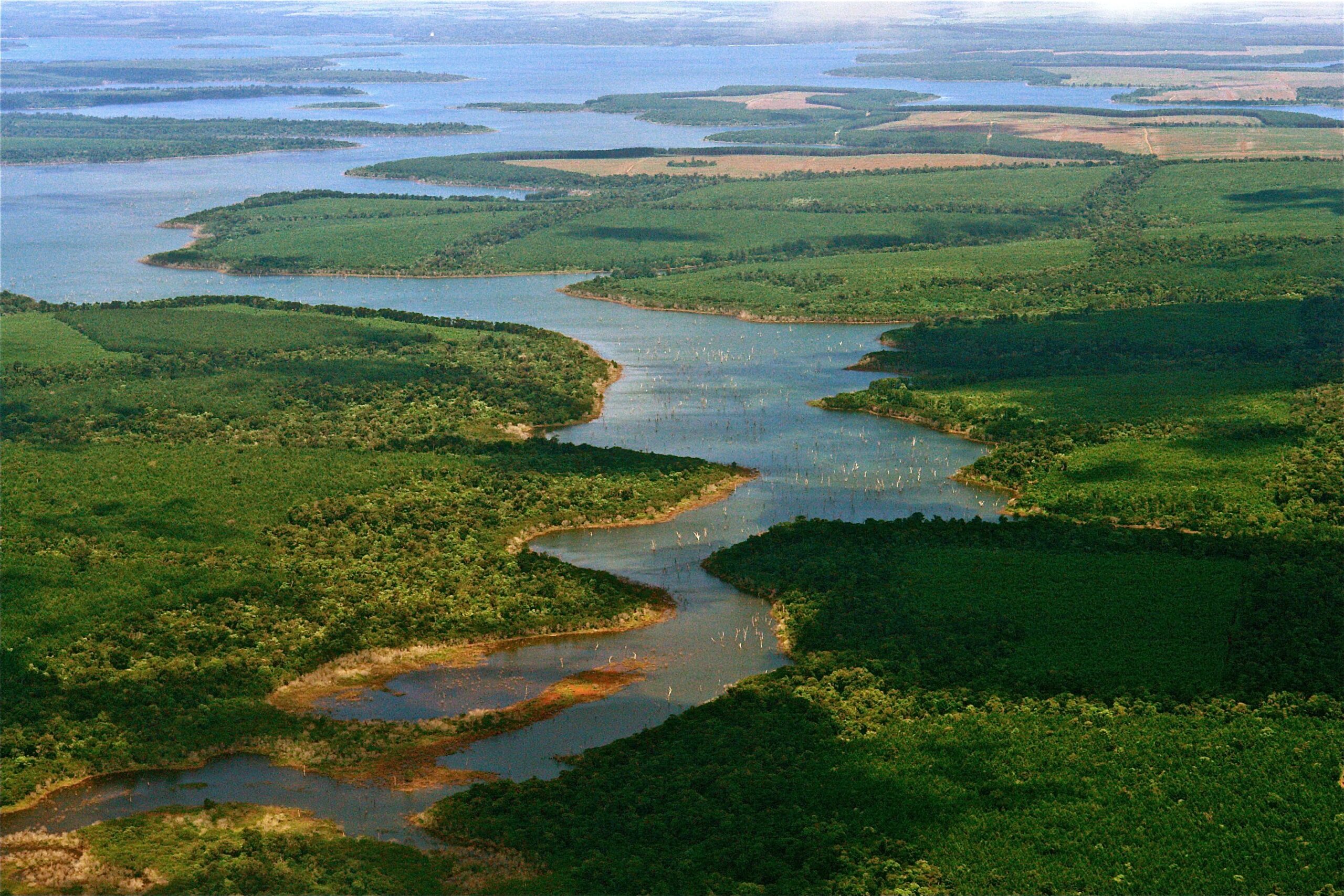 Flying_Over_Esteros_del_Iberá_The_kingdom_of_water,_North-eastern_Argentina