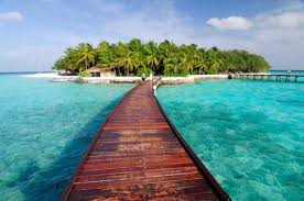images (27)