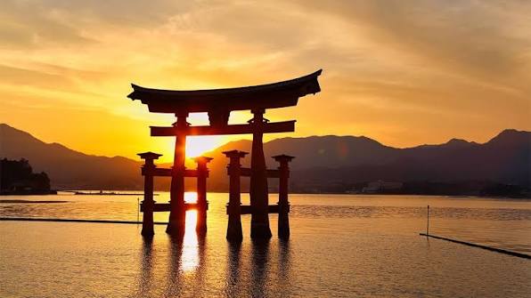 images (66)