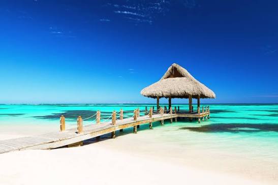 images (83)